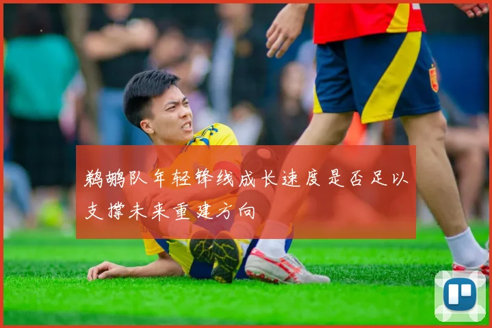 鹈鹕队年轻锋线成长速度是否足以支撑未来重建方向